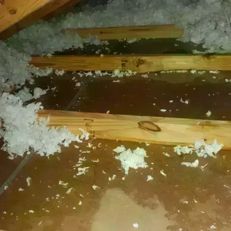 Attic Water Damage in Lake Arrowhead, CA